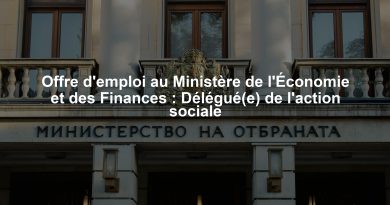 Offre d'emploi au Ministère de l'Économie et des Finances : Délégué(e) de l'action sociale