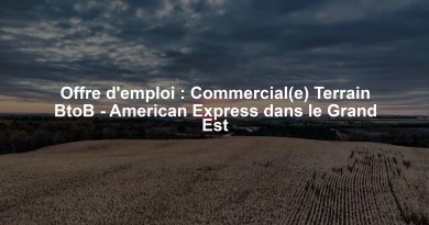 Offre d'emploi : Commercial(e) Terrain BtoB - American Express dans le Grand Est