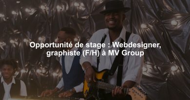 Opportunité de stage : Webdesigner, graphiste (F/H) à MV Group