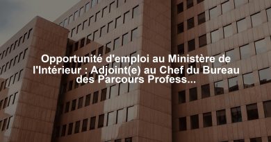 Opportunité d'emploi au Ministère de l'Intérieur : Adjoint(e) au Chef du Bureau des Parcours Professionnels