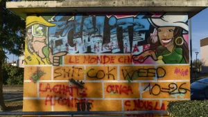 Narcotrafic : un danger pour la démocratie en France ?