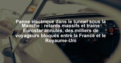 Panne électrique dans le tunnel sous la Manche : retards massifs et trains Eurostar annulés, des milliers de voyageurs bloqués entre la France et le Royaume-Uni