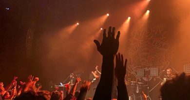 Lyon Antifa Fest : la Région contrainte de verser les subventions au CCO et à La Rayonne