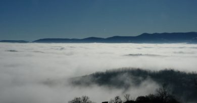 En images. En décembre, vos plus belles photos du jour