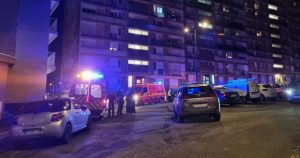 Montceau-les-Mines. Attaque de chiens au Plessis : les animaux n’ont pas encore été expertisés