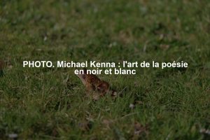 PHOTO. Michael Kenna : l'art de la poésie en noir et blanc