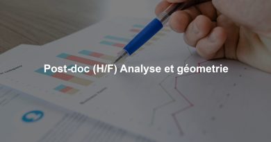 Post-doc (H/F) Analyse et géometrie