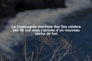 La Compagnie maritime des îles célèbre ses 30 ans avec l’arrivée d’un nouveau navire de fret