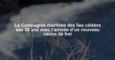La Compagnie maritime des îles célèbre ses 30 ans avec l’arrivée d’un nouveau navire de fret