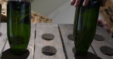 "C'est une recette personnelle" : le dégorgement, une étape essentielle de la fabrication du champagne