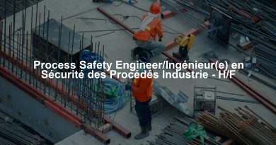 Process Safety Engineer/Ingénieur(e) en Sécurité des Procédés Industrie - H/F