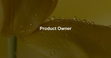 Product Owner
