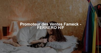 Promoteur des Ventes Fameck - FERRERO H/F
