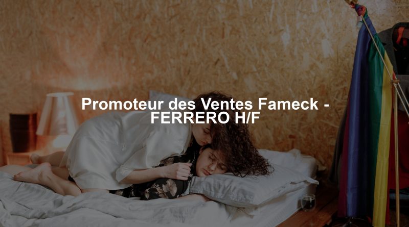 Promoteur des Ventes Fameck - FERRERO H/F