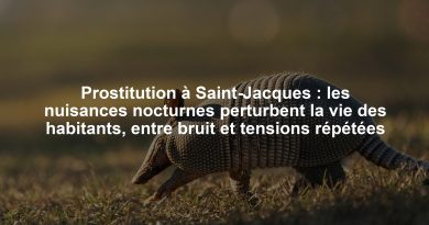 Prostitution à Saint-Jacques : les nuisances nocturnes perturbent la vie des habitants, entre bruit et tensions répétées
