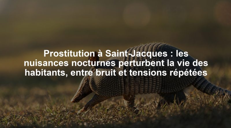Prostitution à Saint-Jacques : les nuisances nocturnes perturbent la vie des habitants, entre bruit et tensions répétées