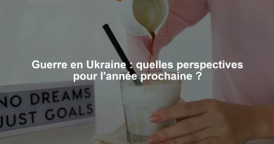 Guerre en Ukraine : quelles perspectives pour l'année prochaine ?