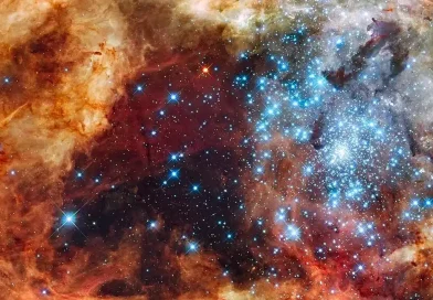 premi&egrave;res &eacute;toiles de l