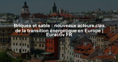 Briques et sable : nouveaux acteurs clés de la transition énergétique en Europe | Euractiv FR