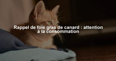 Rappel de foie gras de canard : attention à la consommation