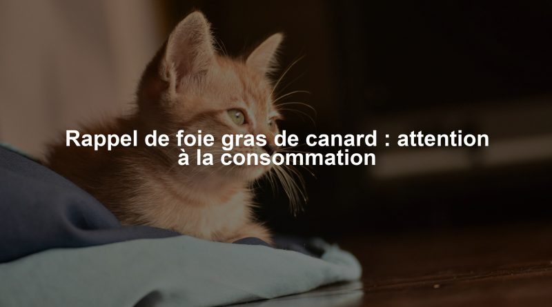 Rappel de foie gras de canard : attention à la consommation