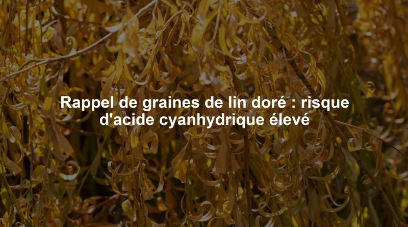 Rappel de graines de lin doré : risque d'acide cyanhydrique élevé