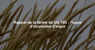 Rappel de la farine de blé T65 : risque d'alcaloïdes d'ergot