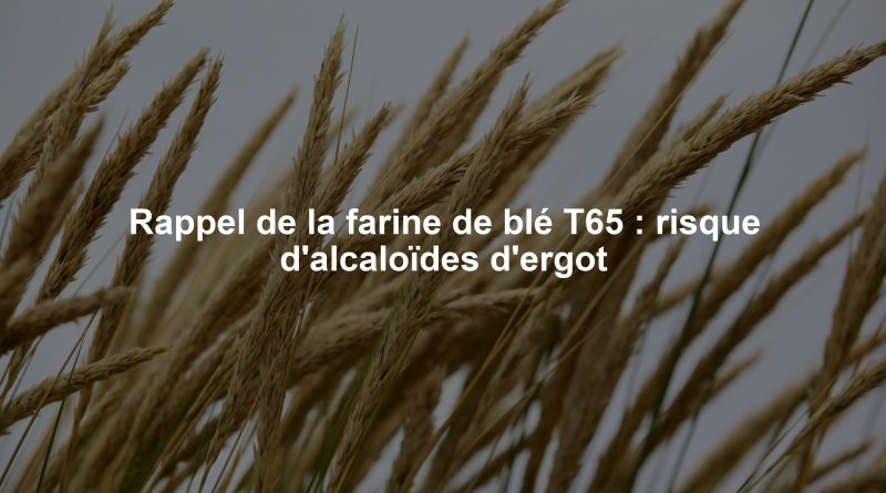 Rappel de la farine de blé T65 : risque d'alcaloïdes d'ergot