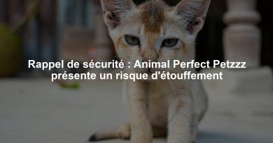 Rappel de sécurité : Animal Perfect Petzzz présente un risque d'étouffement