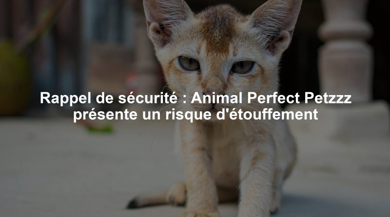 Rappel de sécurité : Animal Perfect Petzzz présente un risque d'étouffement