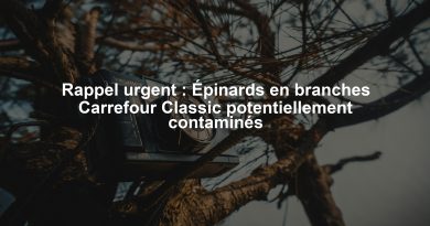 Rappel urgent : Épinards en branches Carrefour Classic potentiellement contaminés