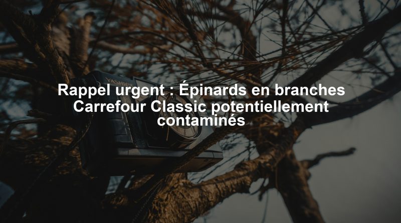 Rappel urgent : Épinards en branches Carrefour Classic potentiellement contaminés