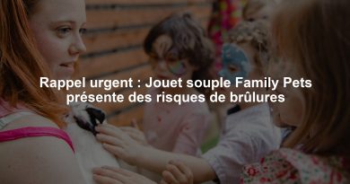 Rappel urgent : Jouet souple Family Pets présente des risques de brûlures