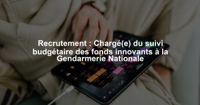 Recrutement : Chargé(e) du suivi budgétaire des fonds innovants à la Gendarmerie Nationale