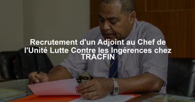 Recrutement d'un Adjoint au Chef de l'Unité Lutte Contre les Ingérences chez TRACFIN