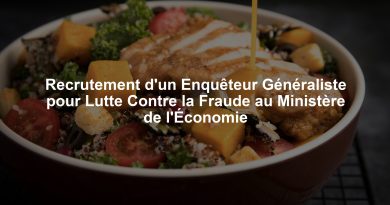 Recrutement d'un Enquêteur Généraliste pour Lutte Contre la Fraude au Ministère de l'Économie