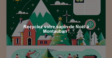 Recyclez votre sapin de Noël à Montauban !