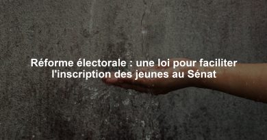 Réforme électorale : une loi pour faciliter l'inscription des jeunes au Sénat