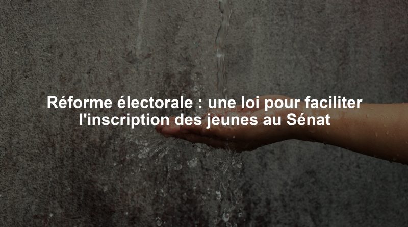 Réforme électorale : une loi pour faciliter l'inscription des jeunes au Sénat