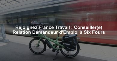 Rejoignez France Travail : Conseiller(e) Relation Demandeur d'Emploi à Six Fours