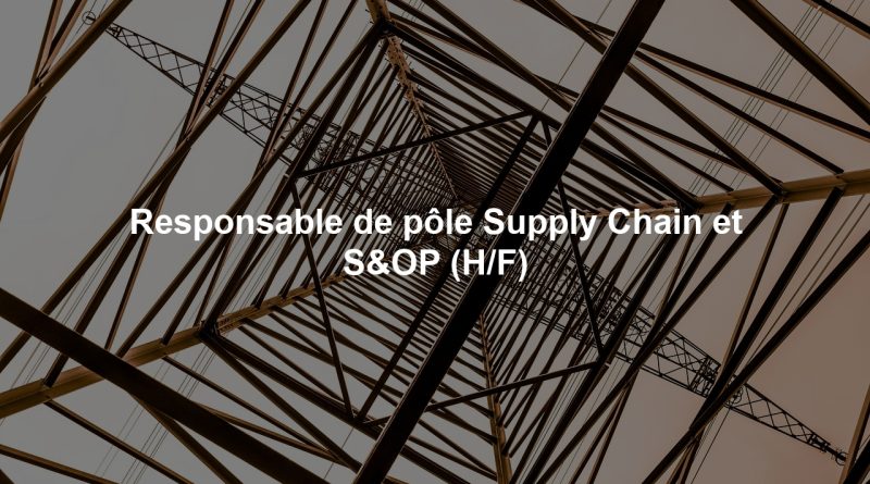 Responsable de pôle Supply Chain et S&OP (H/F)