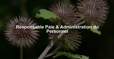 Responsable Paie & Administration du Personnel