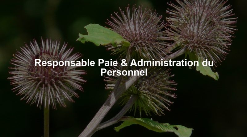 Responsable Paie & Administration du Personnel