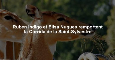 Ruben Indigo et Elisa Nugues remportent la Corrida de la Saint-Sylvestre