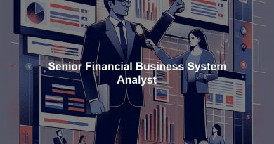 Senior Financial Business System Analyst