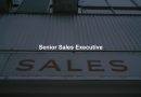 Senior Sales Executive