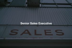 Senior Sales Executive