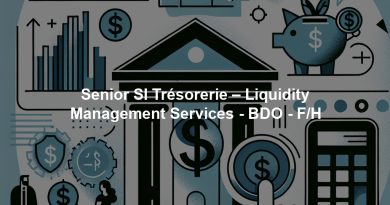 Senior SI Trésorerie – Liquidity Management Services - BDO - F/H