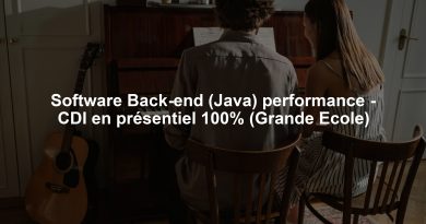 Software Back-end (Java) performance - CDI en présentiel 100% (Grande Ecole)