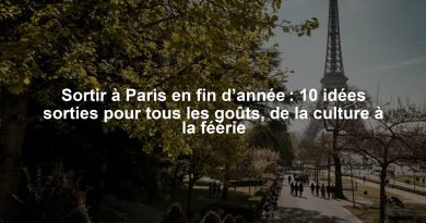 Sortir à Paris en fin d’année : 10 idées sorties pour tous les goûts, de la culture à la féérie